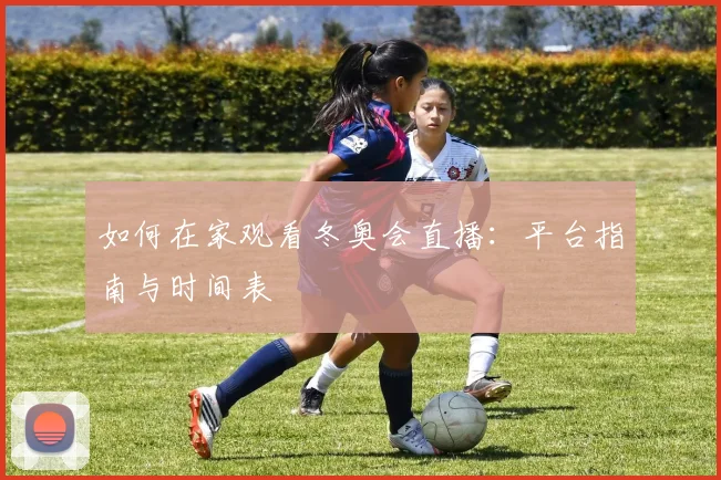 如何在家观看冬奥会直播:平台指南与时间表